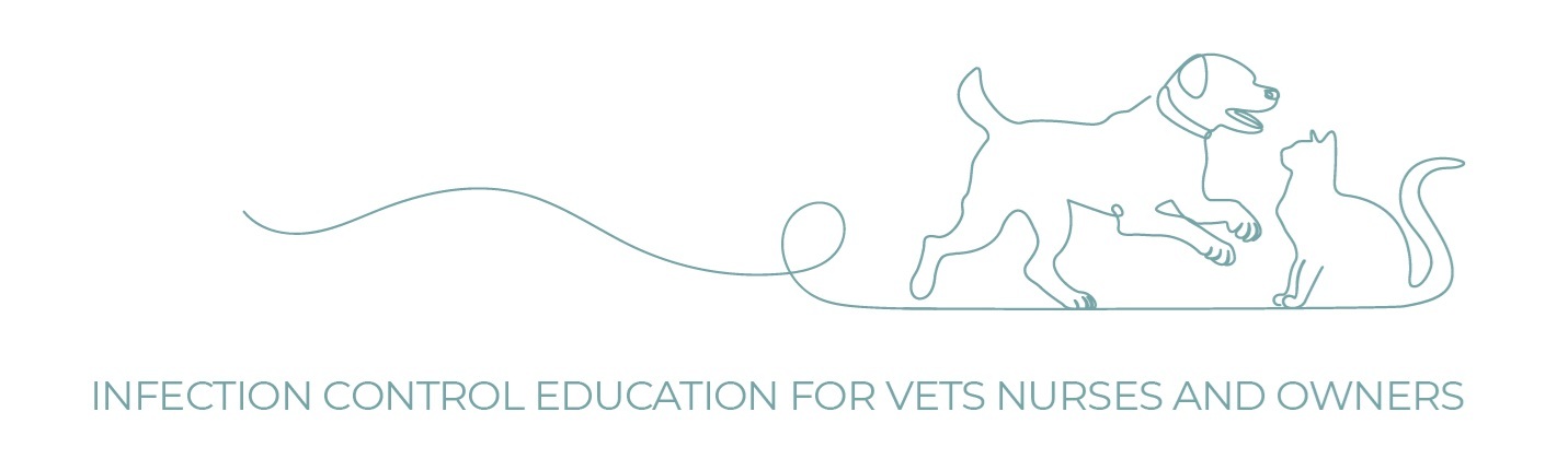 BMF logo 2